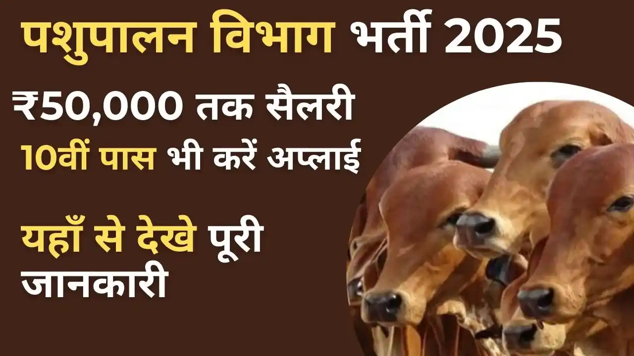 Pashupalan Vibhag Vacancy 2025 – सरकारी नौकरी, 10वीं पास के लिए वैकेंसी, सैलरी ₹50,000 तक, ऑनलाइन आवेदन प्रक्रिया।