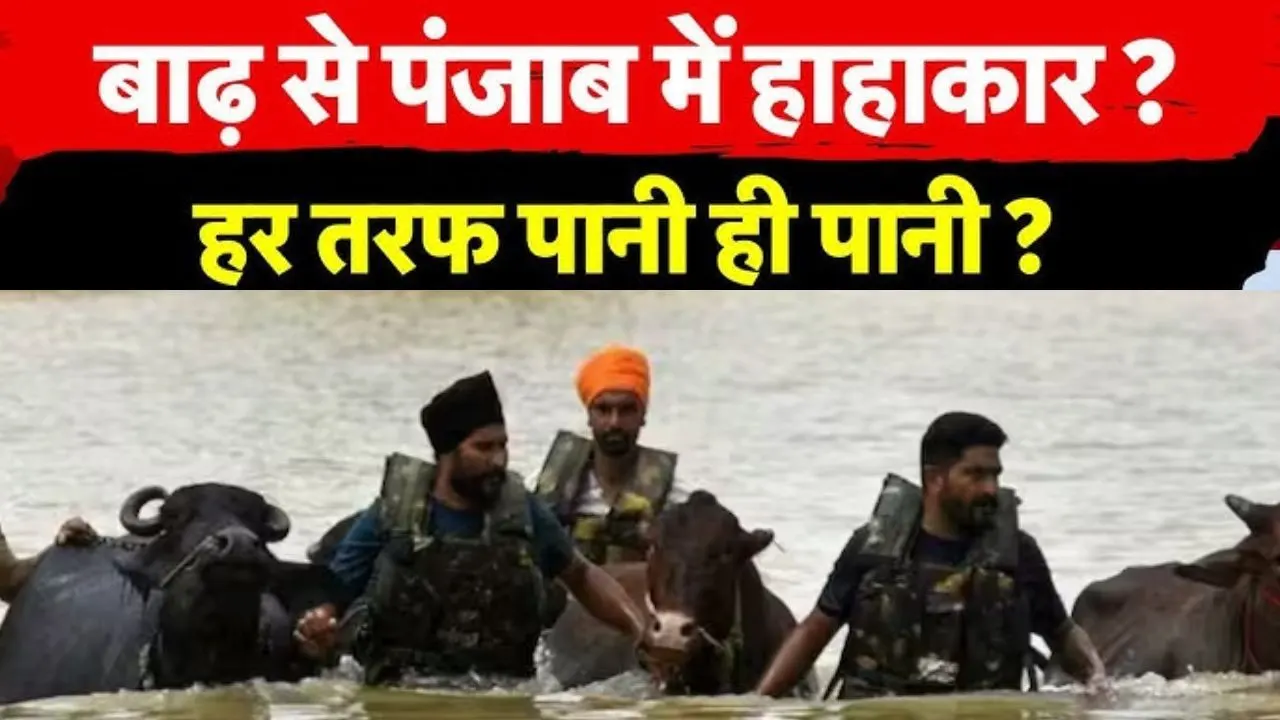 पंजाब में 2025 की भीषण बाढ़, पानी में डूबे गांव और नदियों का उफान